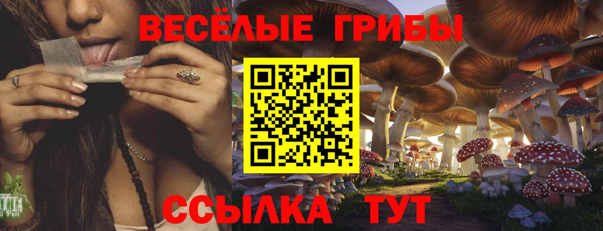 Псилоцибиновые грибы GOLDEN TEACHER  Вход с VPN  Электрогорск  Галлюциногенные грибы Psilocybine cubensis 